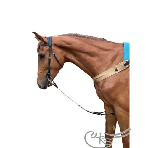 Draw Reins,Training Aids 25mm Heavy Webbing Loop with BRASS Ring For Side Reins 